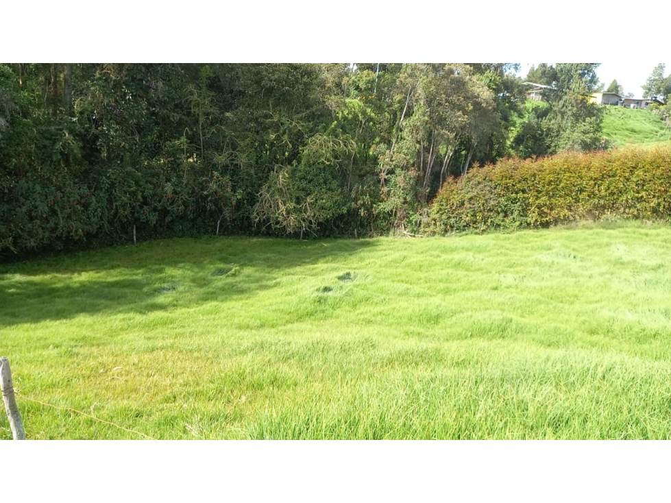 VENDO LOTE SAN PEDRO 2.600 METROS