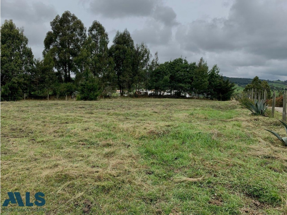VENDO LOTE SAN PEDRO DE LOS MILAGROS - UNIDAD CERR...(MLS#250189) - 2