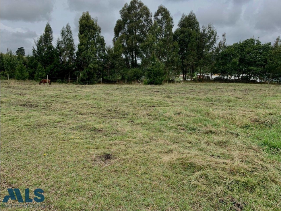 VENDO LOTE SAN PEDRO DE LOS MILAGROS - UNIDAD CERR...(MLS#250189) - 3