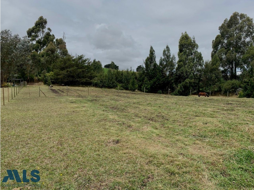 VENDO LOTE SAN PEDRO DE LOS MILAGROS - UNIDAD CERR...(MLS#250189) - 6