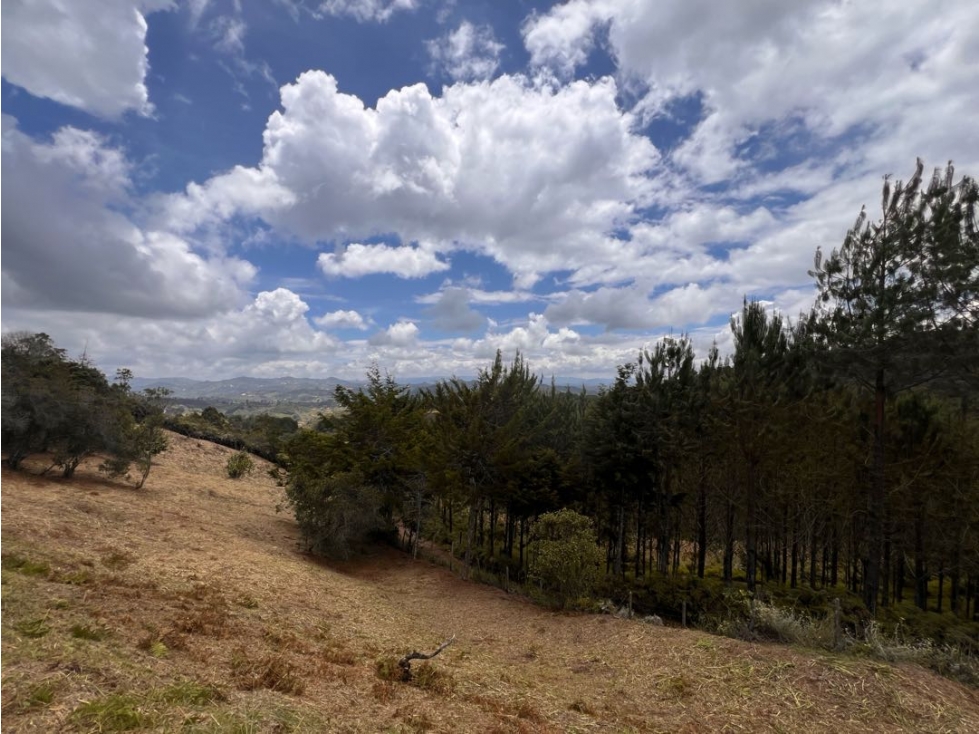 VENDO LOTE SAN VICENTE FERRER VEREDA LA TRAVESIA 249960 — foto 3