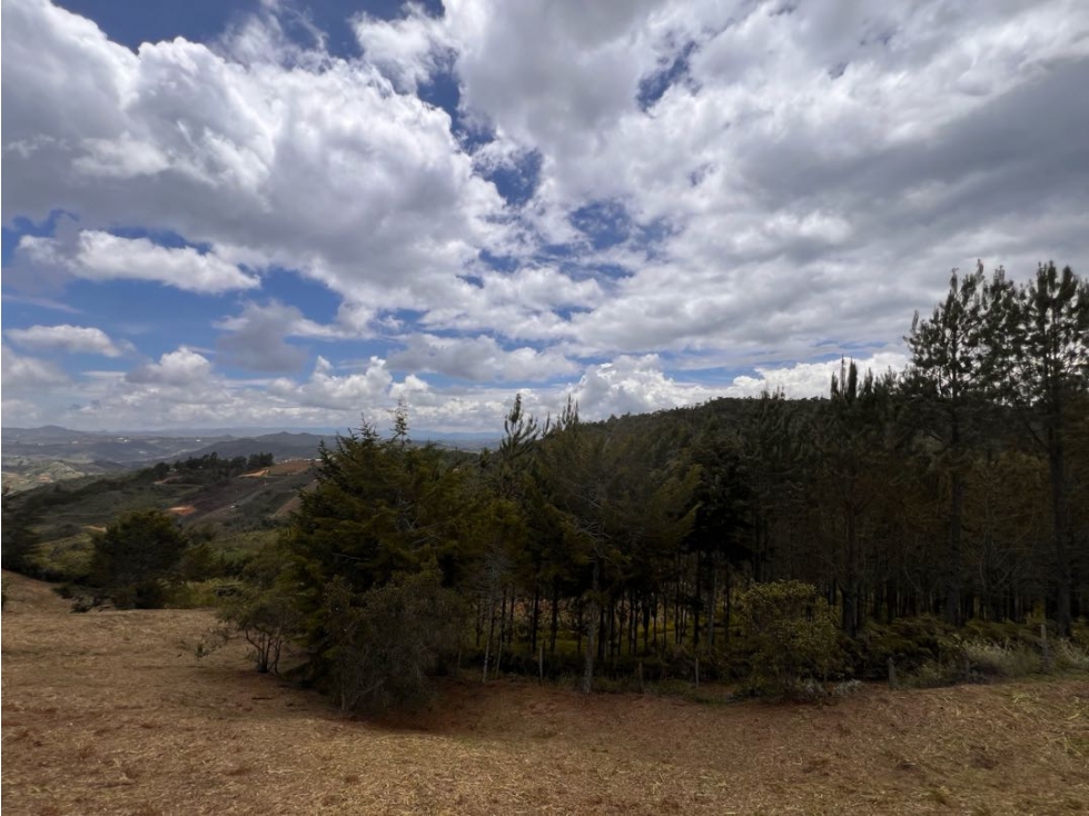 VENDO LOTE SAN VICENTE FERRER VEREDA LA TRAVESIA 249960 — foto 5