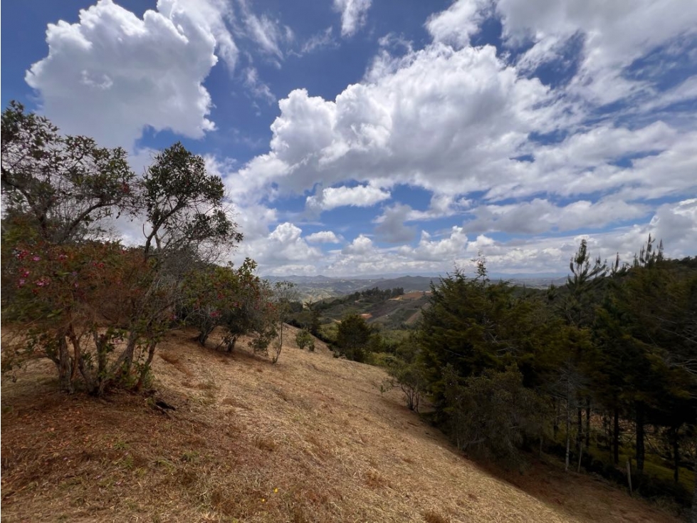 VENDO LOTE SAN VICENTE FERRER VEREDA LA TRAVESIA 249960 — foto 6