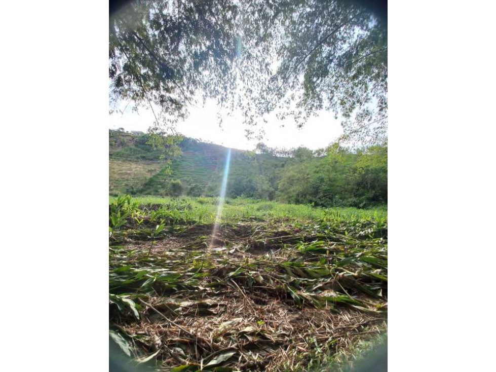 VENDO LOTE SECTOR LA PALMILLA LA ESTRELLA COLINDANTE CON RESERVA — foto 5