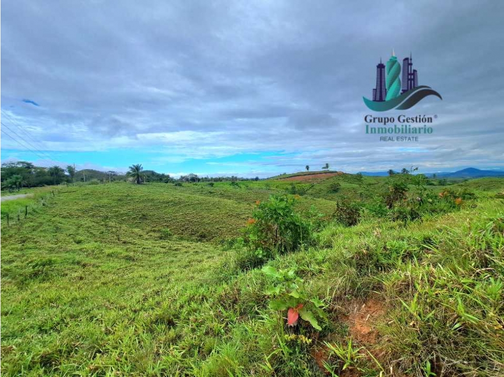 VENDO LOTE SEGREGADO DE 5000MTS VIA BOCA CHICA - 1