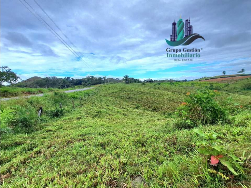 VENDO LOTE SEGREGADO DE 5000MTS VIA BOCA CHICA - 2