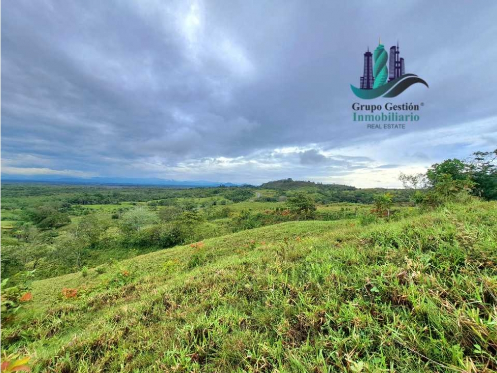 VENDO LOTE SEGREGADO DE 5000MTS VIA BOCA CHICA - 3