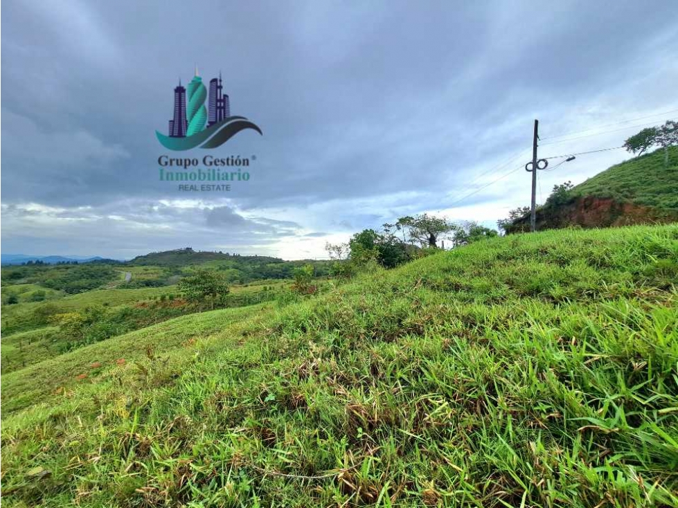 VENDO LOTE SEGREGADO DE 5000MTS VIA BOCA CHICA - 4