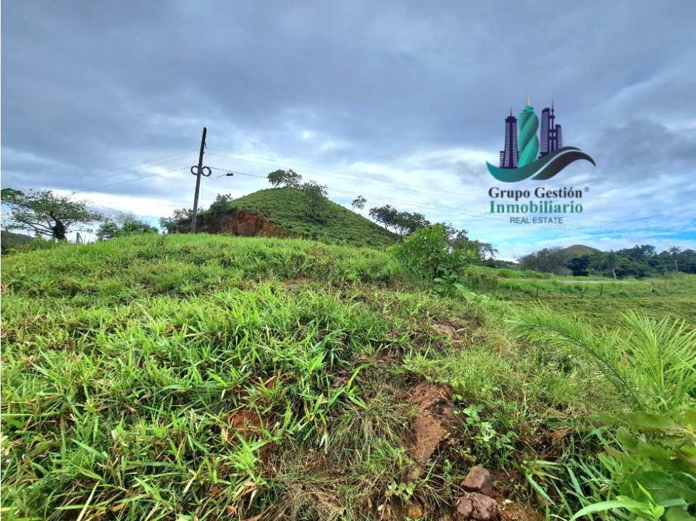 VENDO LOTE SEGREGADO DE 5000MTS VIA BOCA CHICA - 5
