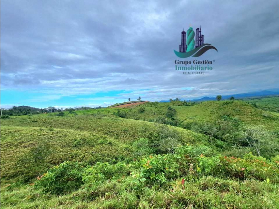 VENDO LOTE SEGREGADO DE 5000MTS VIA BOCA CHICA - 6