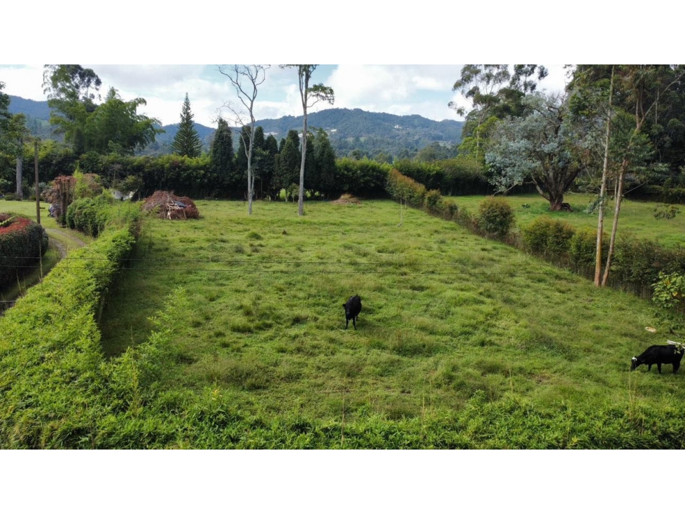 VENDO LOTE SEMI URBANO EN LA CEJA ANTIOQUIA