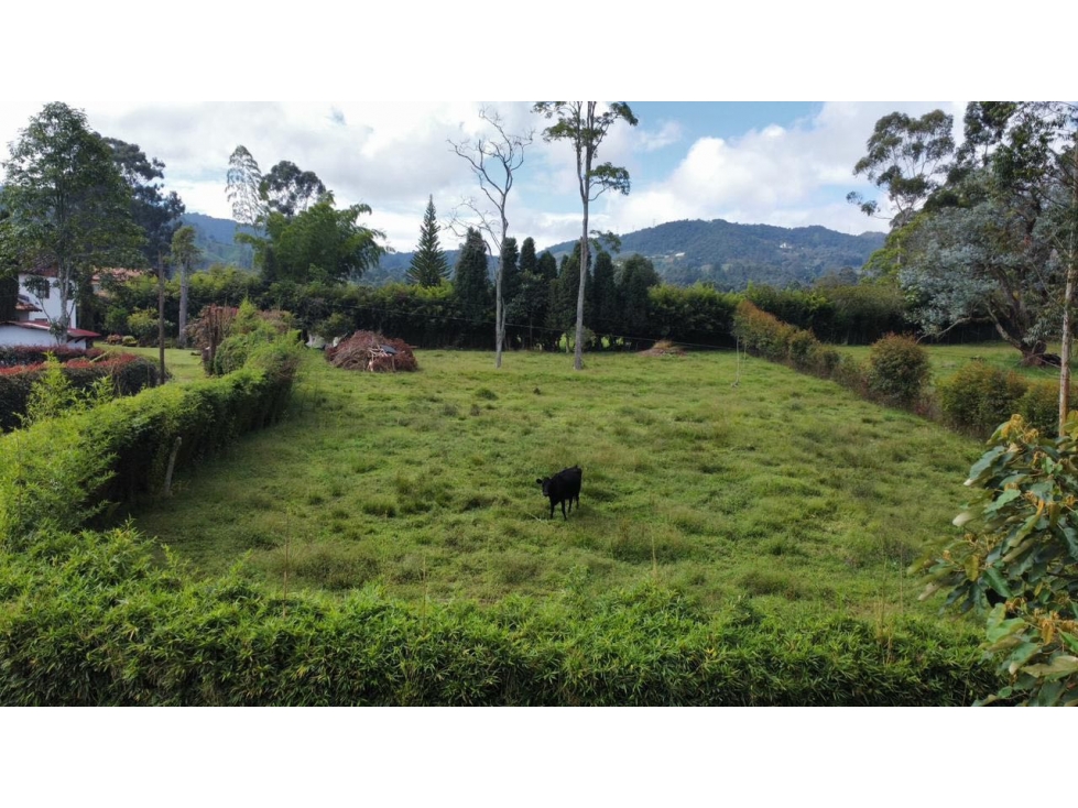 VENDO LOTE SEMI URBANO EN LA CEJA ANTIOQUIA — foto 2