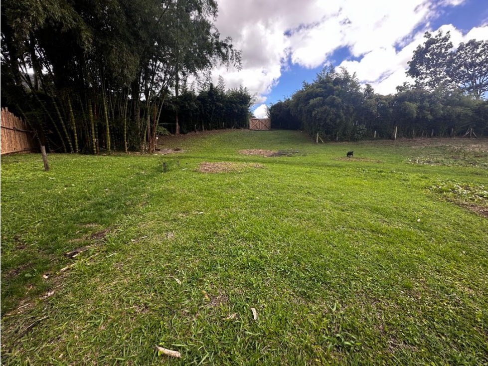 VENDO LOTE SEMI URBANO - LA CEJA ANTIOQUIA — foto 3