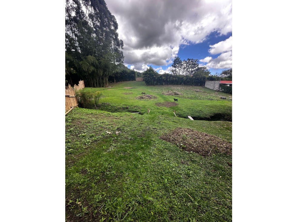 VENDO LOTE SEMI URBANO - LA CEJA ANTIOQUIA — foto 5