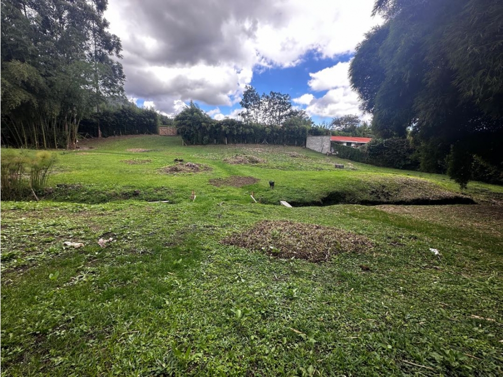 VENDO LOTE SEMI URBANO - LA CEJA ANTIOQUIA — foto 6