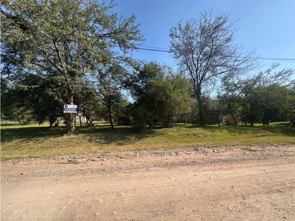 Vendo lote terreno en Villa Catalina barrio con seguridad - 5