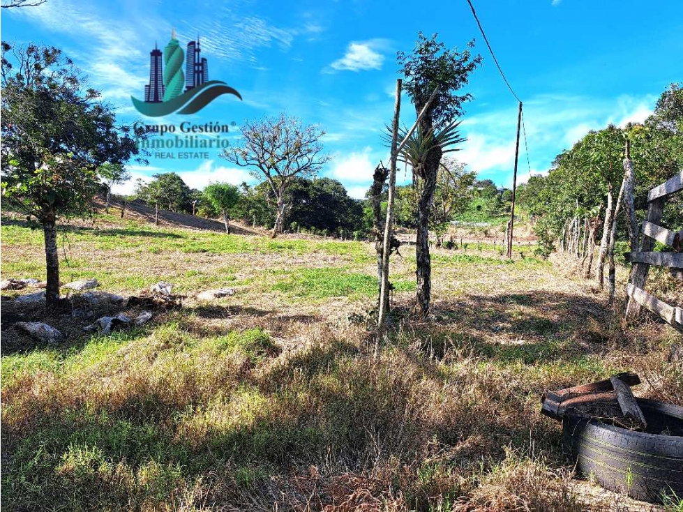 VENDO LOTE TITULADO DE 6,268 MTS Y 1300M.S.N.M. EN VOLCAN - 1