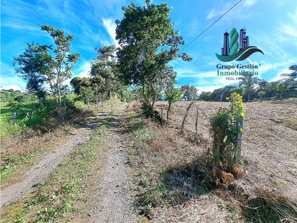 VENDO LOTE TITULADO DE 6,268 MTS Y 1300M.S.N.M. EN VOLCAN - 4