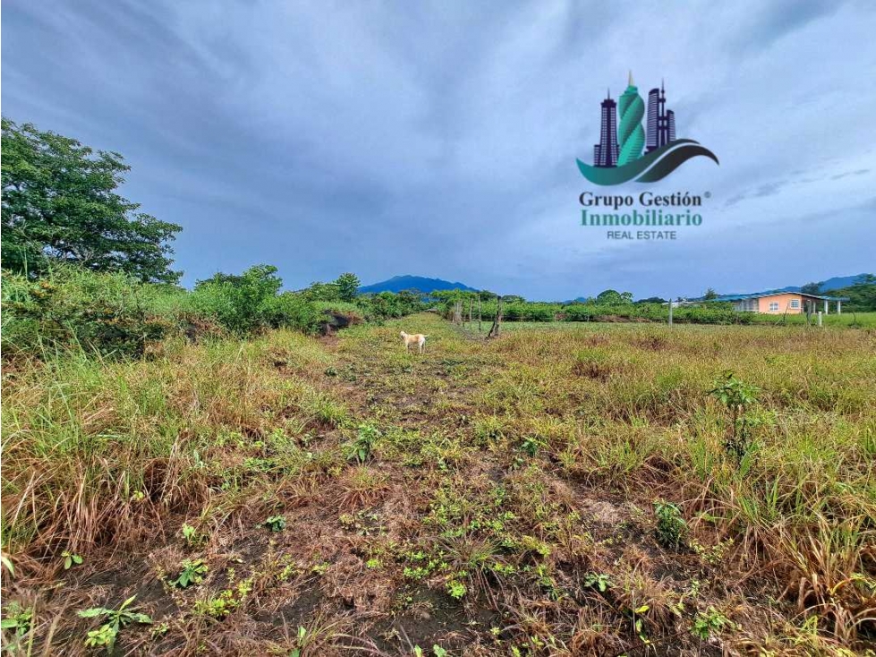 VENDO LOTE TITULADO 891MTS El Frances
