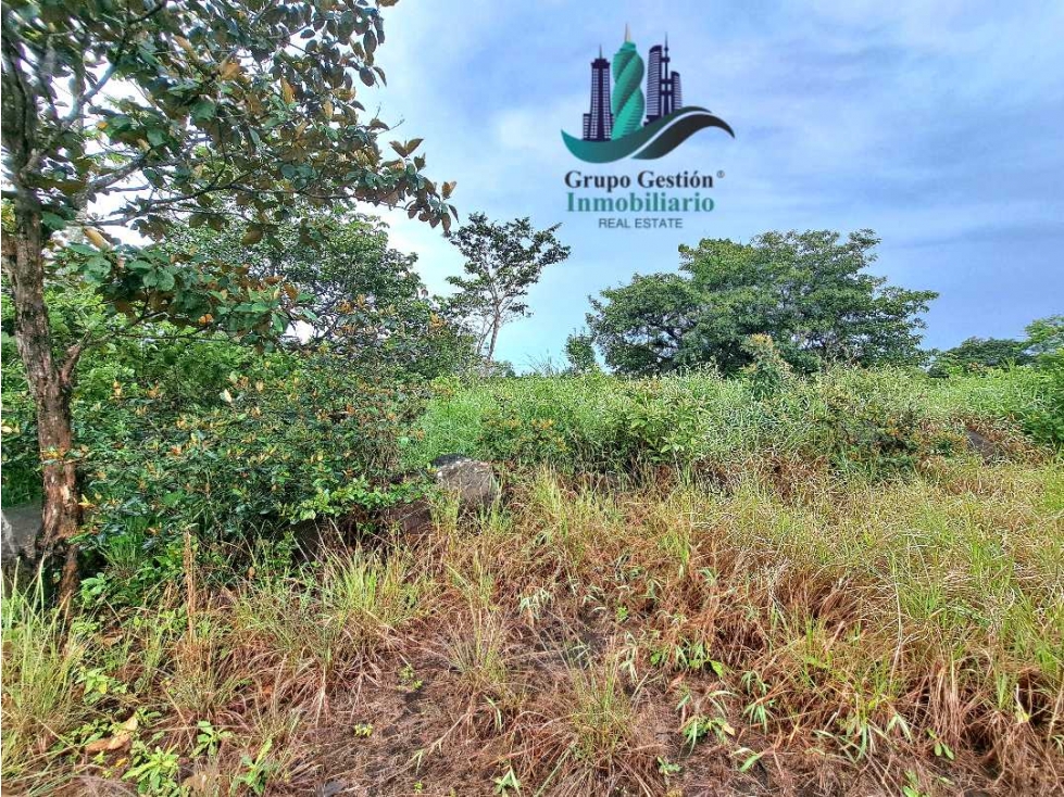 VENDO LOTE TITULADO 891MTS El Frances — foto 3