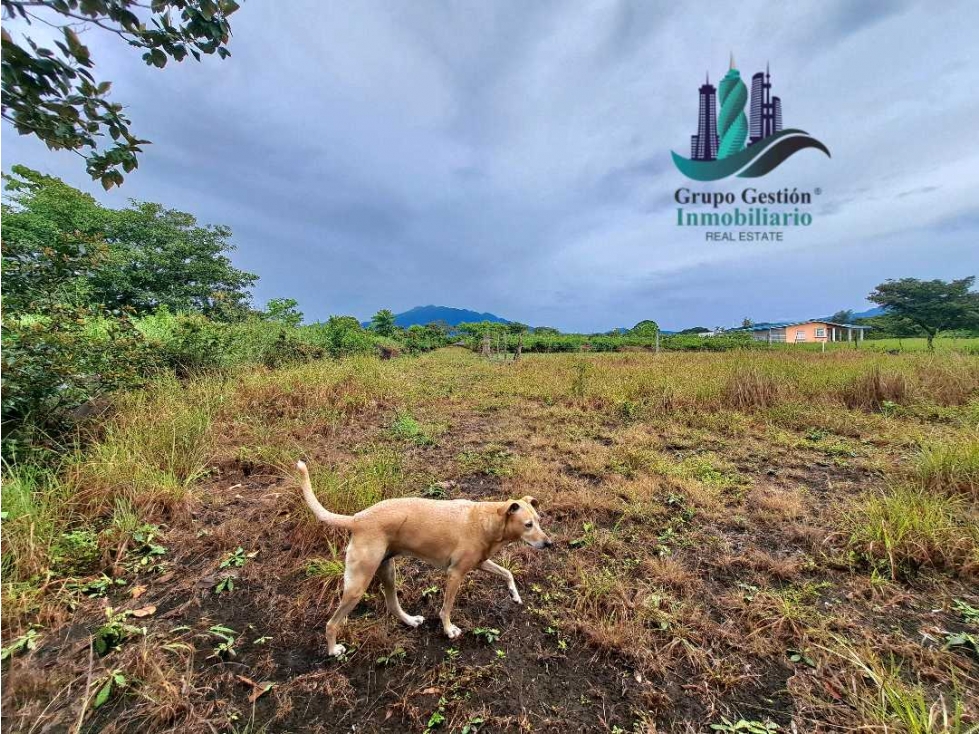 VENDO LOTE TITULADO 891MTS El Frances — foto 5