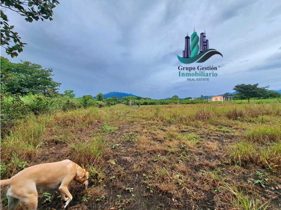 VENDO LOTE TITULADO 891MTS El Frances — foto 6