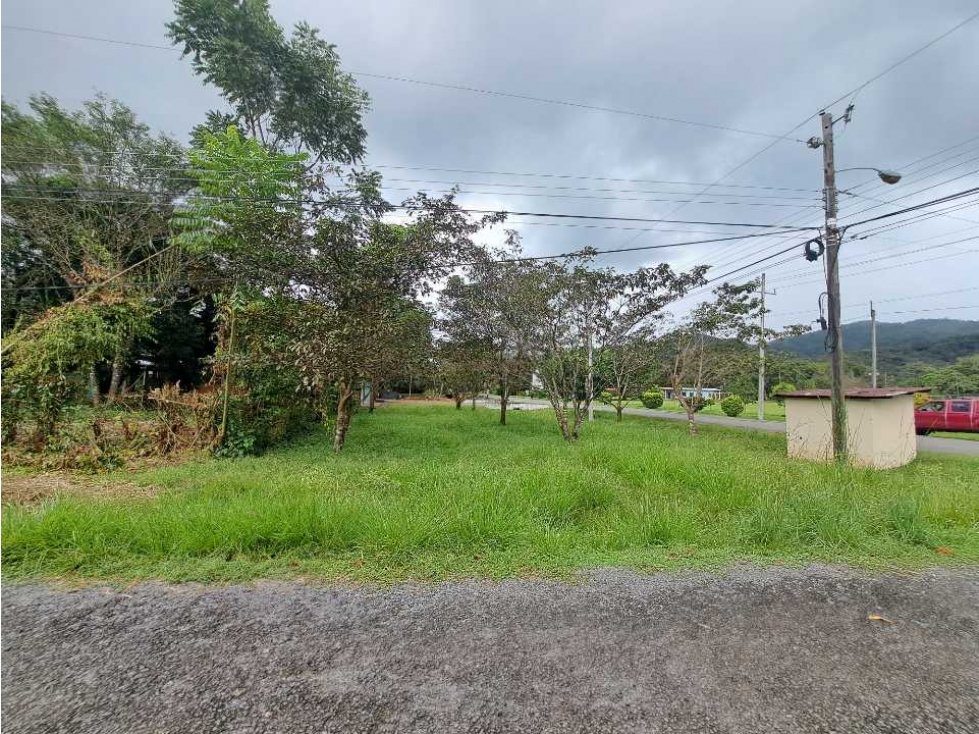 VENDO LOTE 1000MTS TITULADO VIA PRINCIPAL CALDERA — foto 6