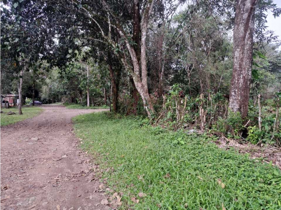 VENDO LOTE 1000MTS TITULADO VIA PRINCIPAL CALDERA — foto 4