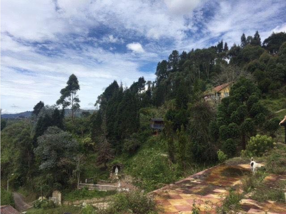 Vendo lote ubicado en Guarne Ant vereda la clara — foto 4