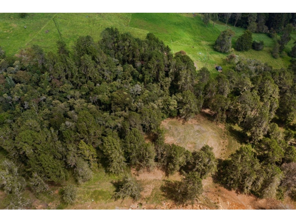 VENDO LOTE UNIDAD CERRADA ALTO DE LAS PALMAS CON BOSQUE NATIVO — foto 2