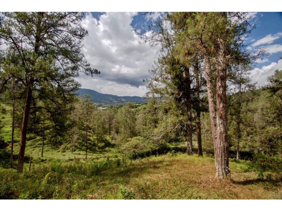VENDO LOTE UNIDAD CERRADA EN EL RETIRO