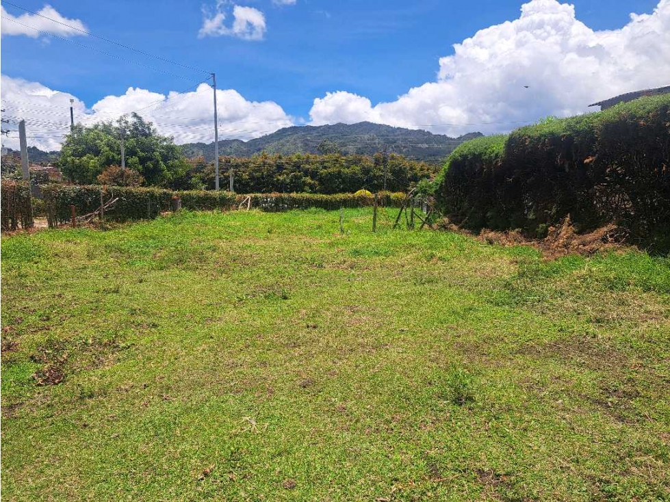 VENDO LOTE URBANO EN LA CEJA ANTIOQUIA — foto 2
