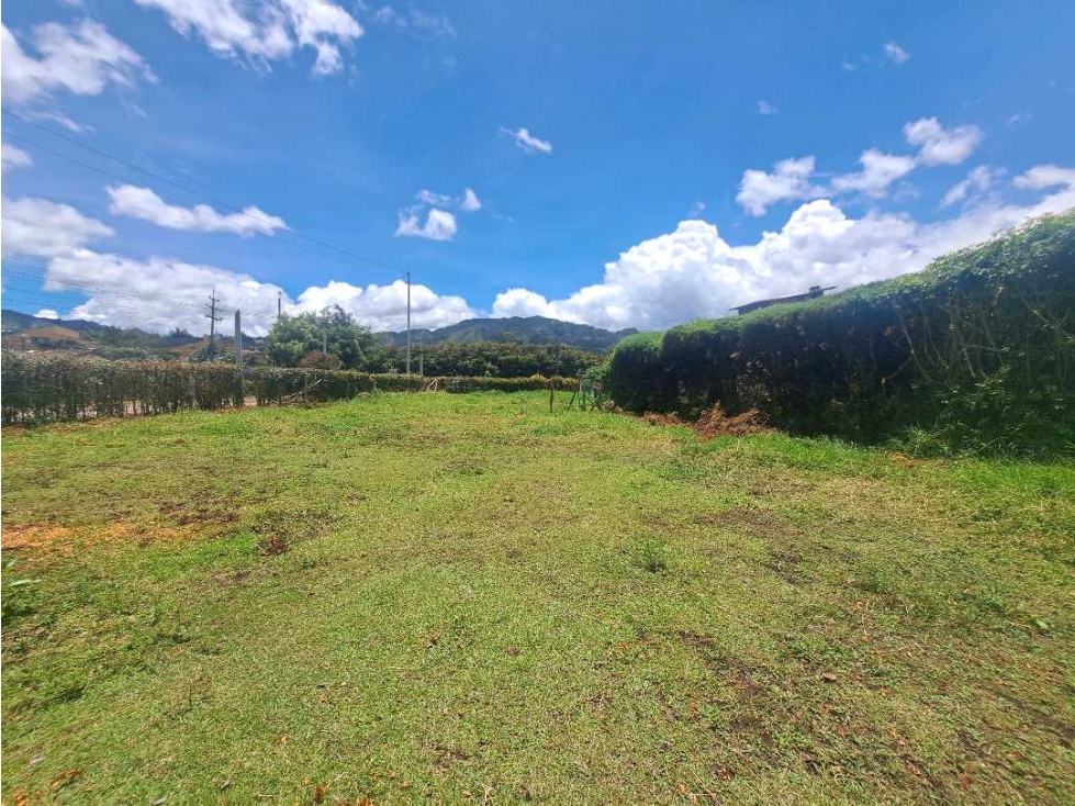 VENDO LOTE URBANO EN LA CEJA ANTIOQUIA — foto 3