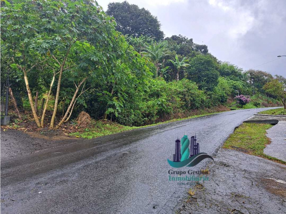VENDO LOTE VIA PRINCIPAL.ALTO LINO.DE 6358MTS