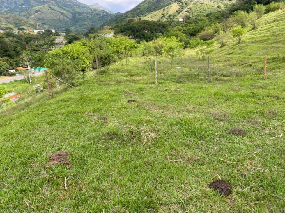 VENDO Lote Via San Jeronimo - Med. Sector Llanos de San Juan - 2