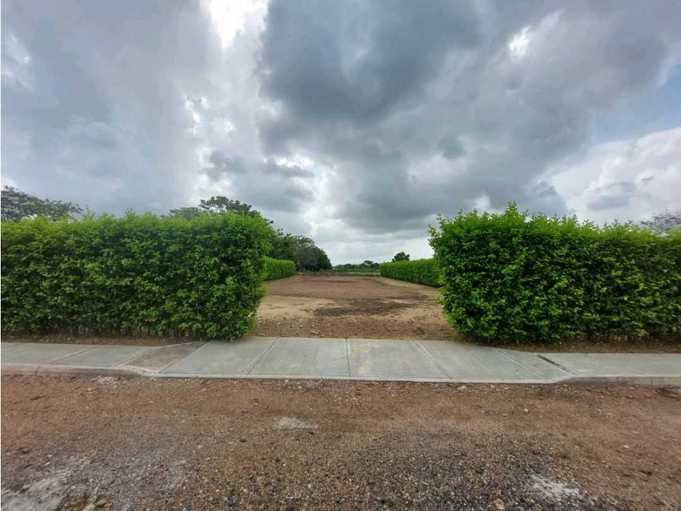 Vendo lotes campestres cerca a Balmoral — foto 3