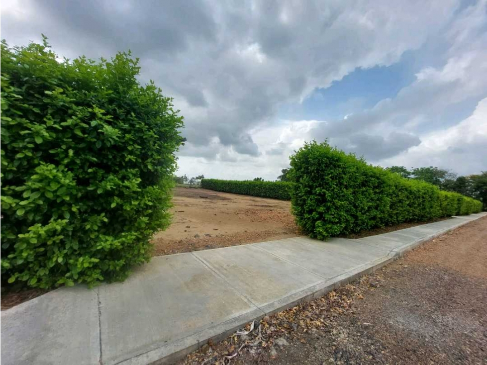 Vendo lotes campestres cerca a Balmoral — foto 4