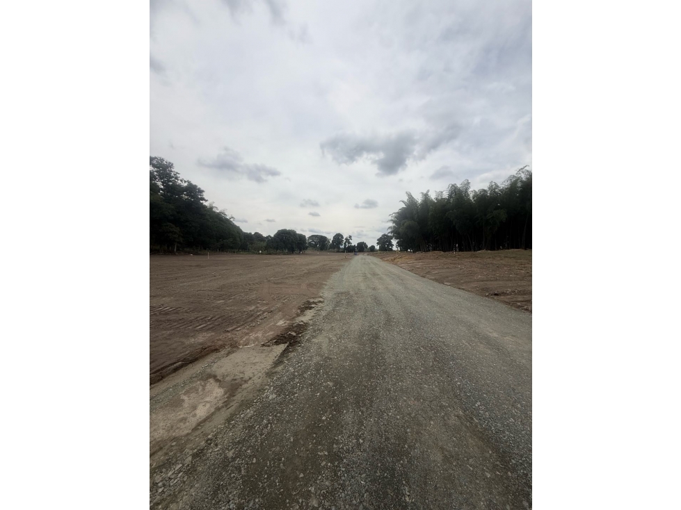 VENDO LOTES CAMPESTRES MUY CERCA AL PARQUE DEL CAFÉ — foto 3