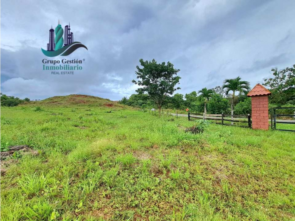 VENDO LOTES DE 1000MTS CERCA A PLAYA HERMOSA - 2