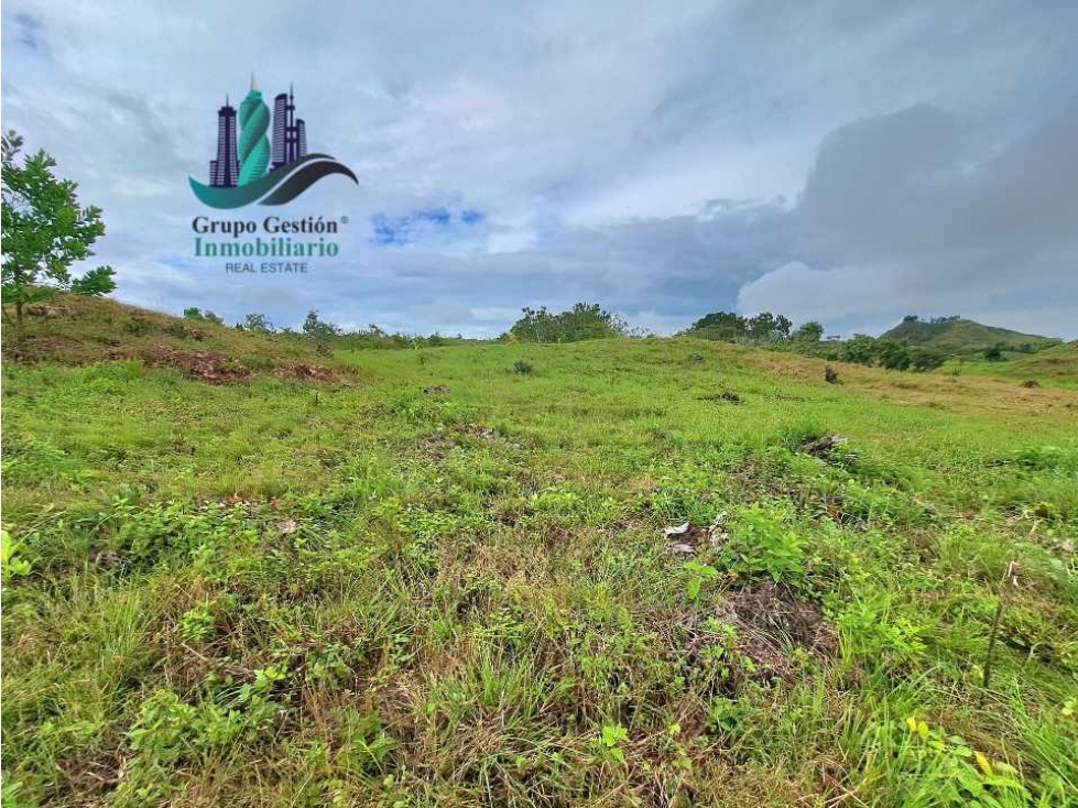 VENDO LOTES DE 1000MTS CERCA A PLAYA HERMOSA - 6