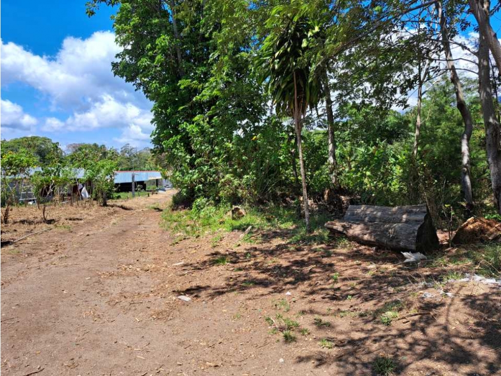 VENDO LOTES DE MIL METROS EN PALMIRA — foto 5