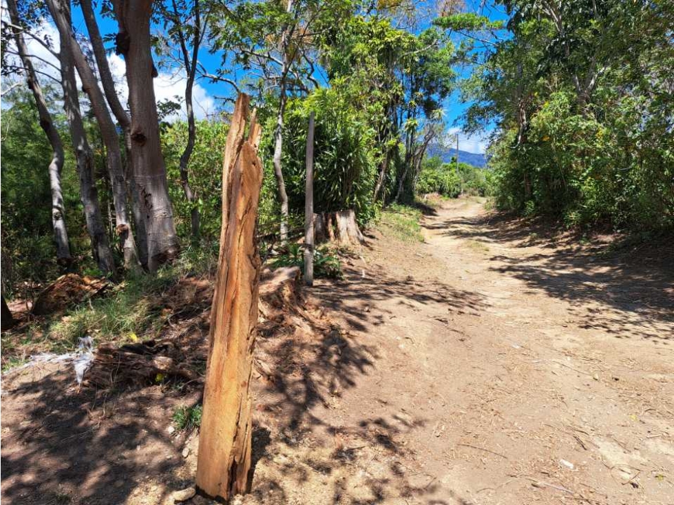 VENDO LOTES DE MIL METROS EN PALMIRA — foto 6