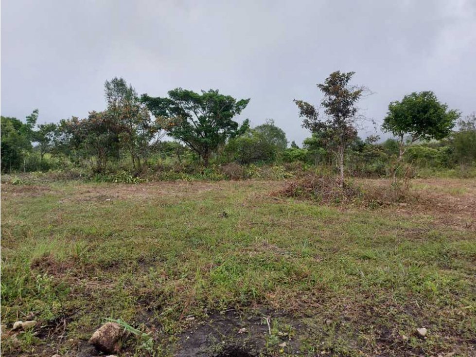 VENDO LOTES DE 1000MTS CERCA A LA TEXACO DE ALTO BOQUETE — foto 2