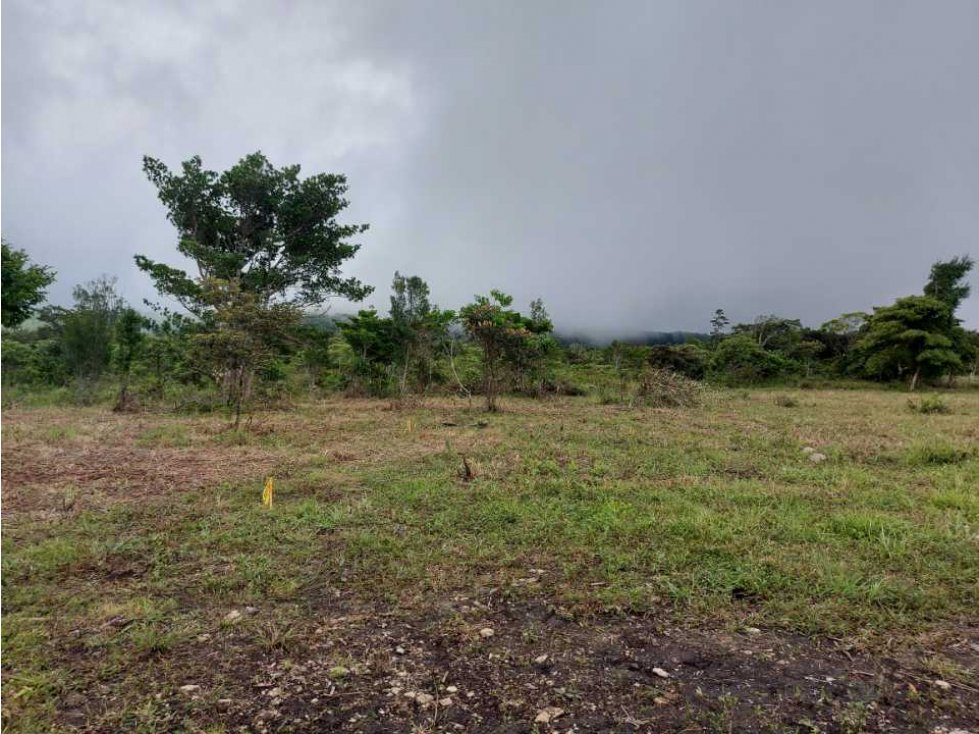 VENDO LOTES DE 1000MTS CERCA A LA TEXACO DE ALTO BOQUETE — foto 3