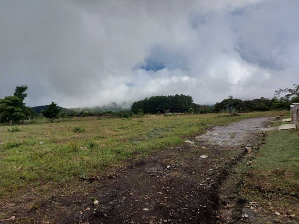 VENDO LOTES DE 1000MTS CERCA A LA TEXACO DE ALTO BOQUETE — foto 4