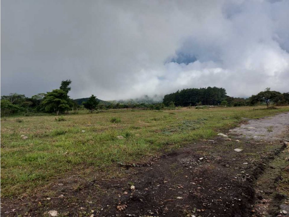 VENDO LOTES DE 1000MTS CERCA A LA TEXACO DE ALTO BOQUETE — foto 5