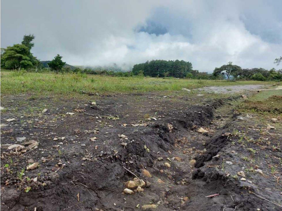 VENDO LOTES DE 1000MTS CERCA A LA TEXACO DE ALTO BOQUETE — foto 6