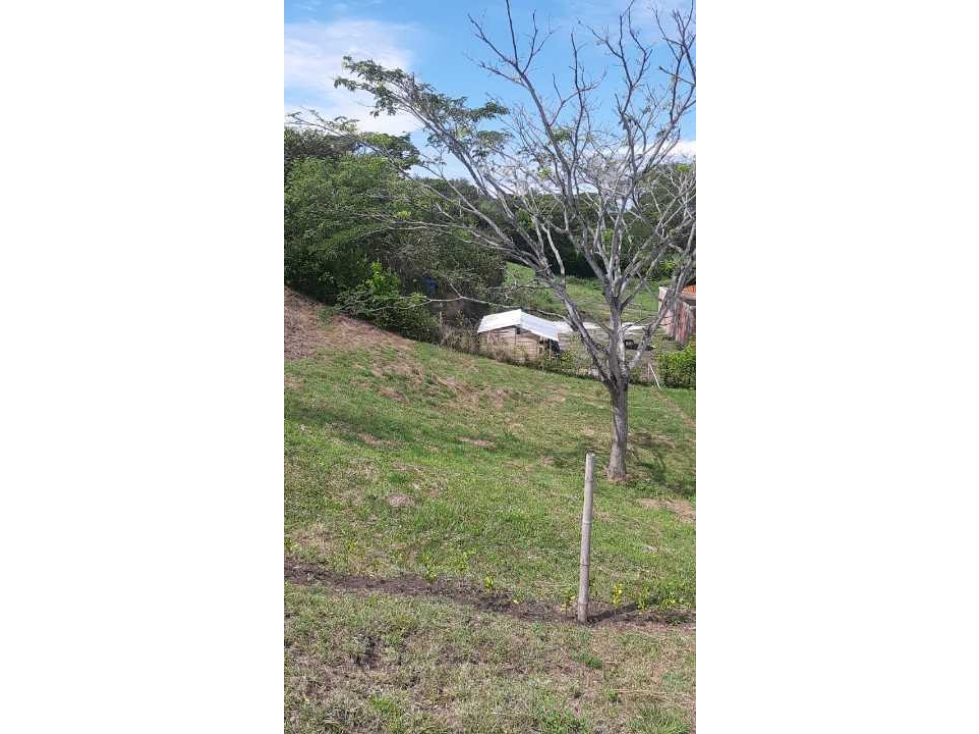 VENDO LOTE EN CONDOMINIO EN CARTAGO - 2
