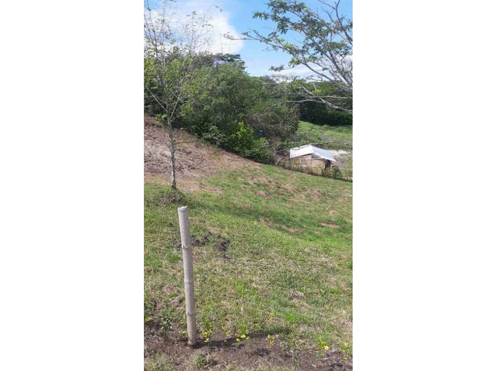 VENDO LOTE EN CONDOMINIO EN CARTAGO - 3