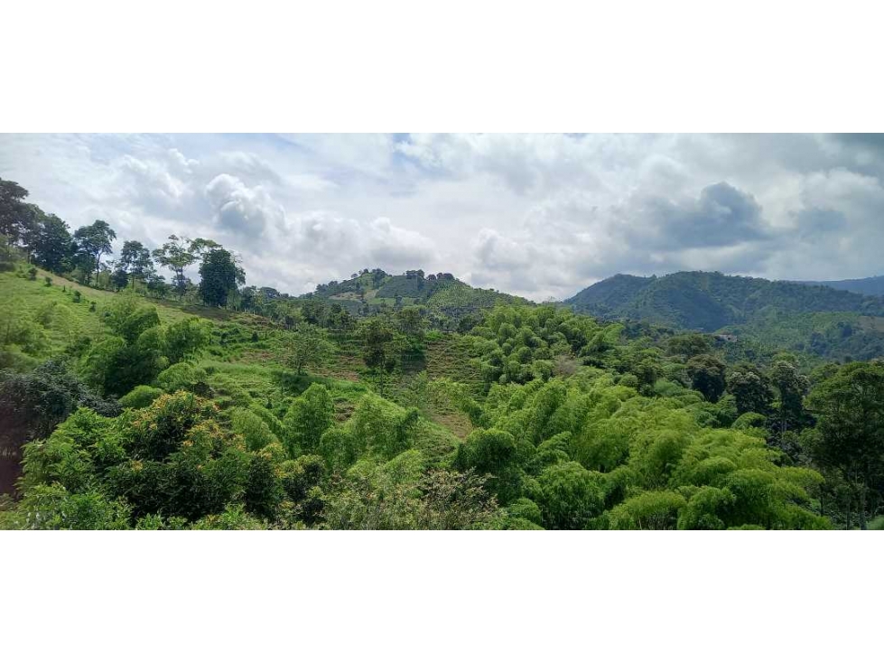 Vendo lotes en la cabaña desde 648 mt2